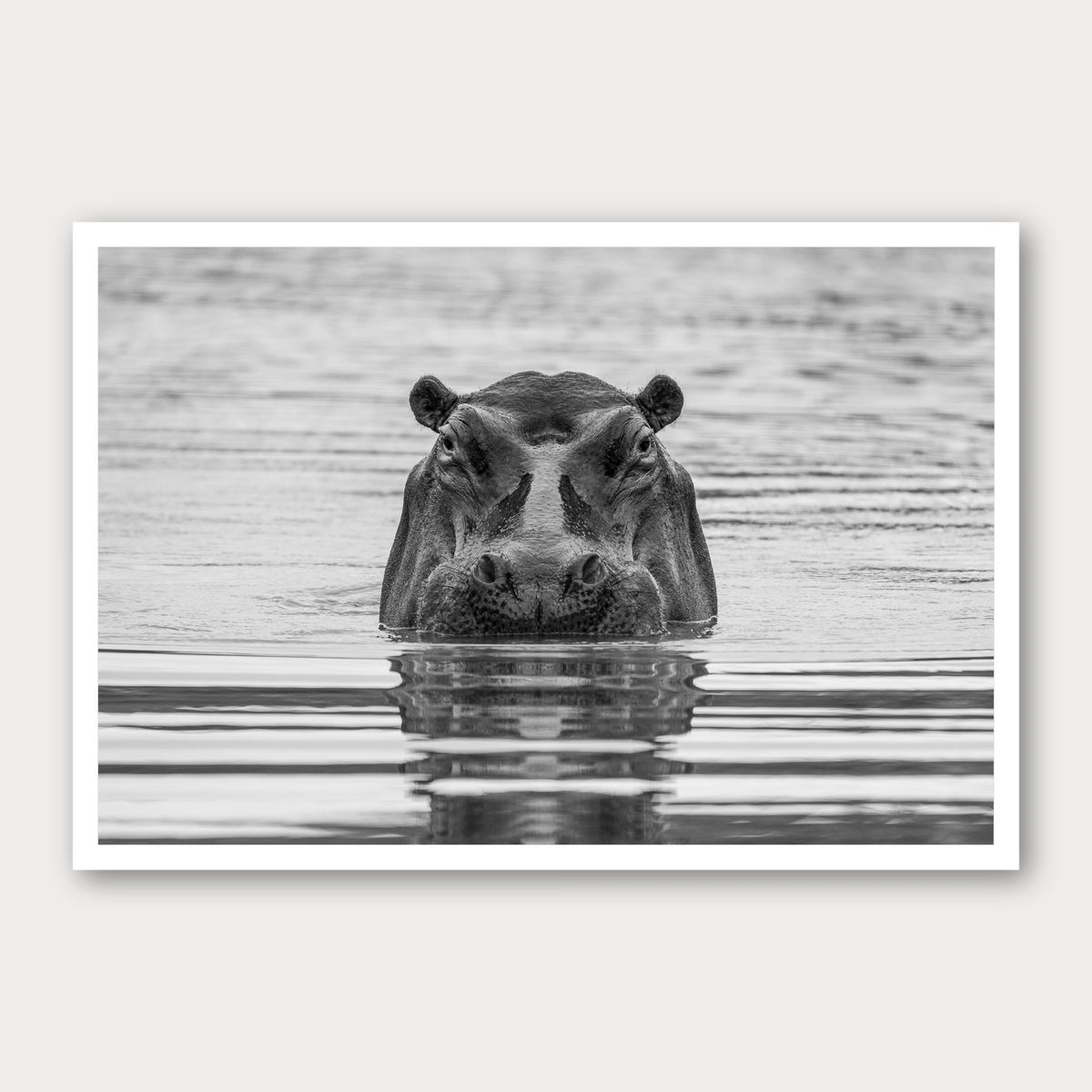 A black and white photographic print of The Watcher, framed with a white border and shown against a light gray background.