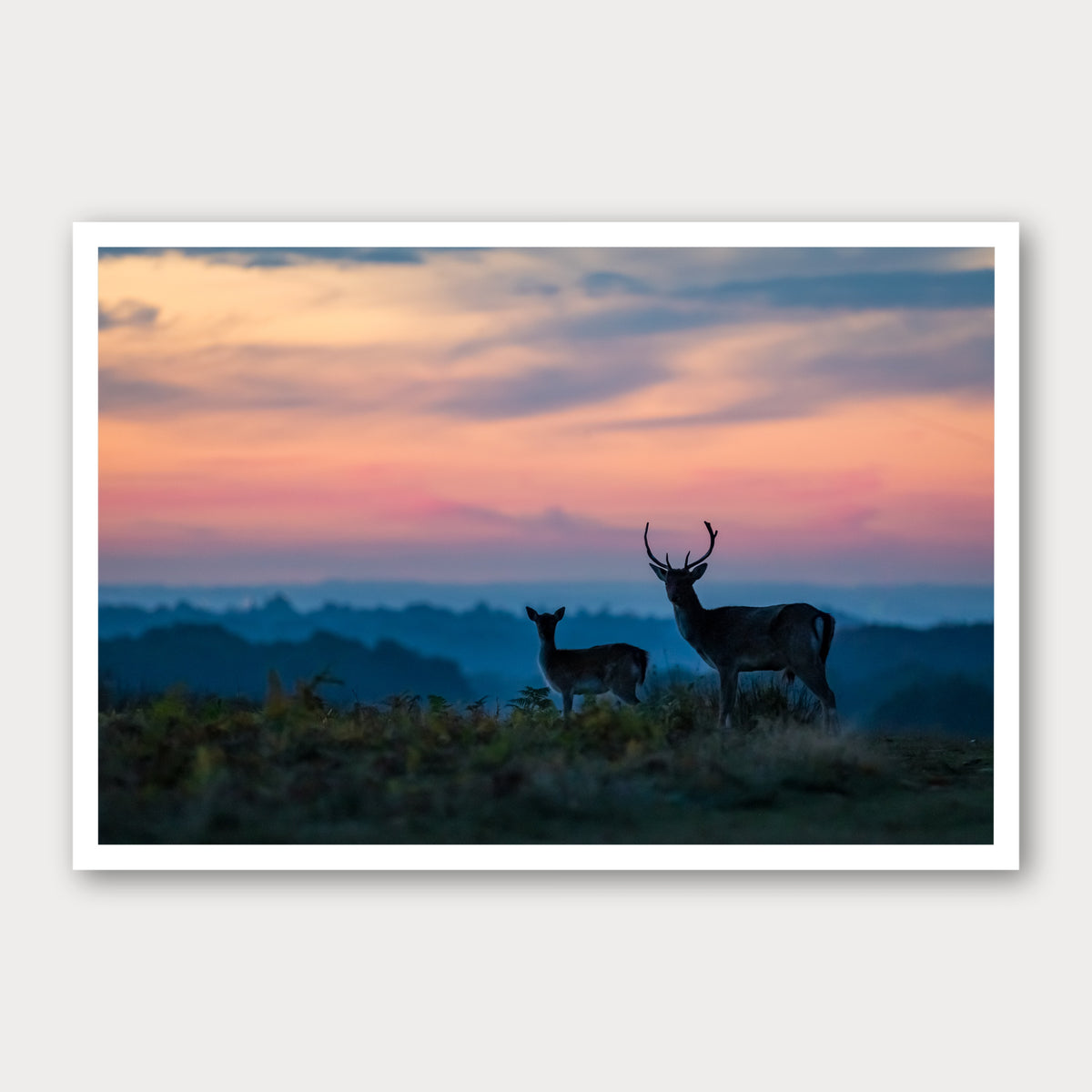 A photographic print of Antlers, framed with a white border and shown against a light gray background.