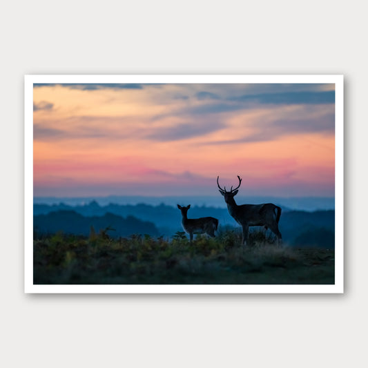 A photographic print of Antlers, framed with a white border and shown against a light gray background.