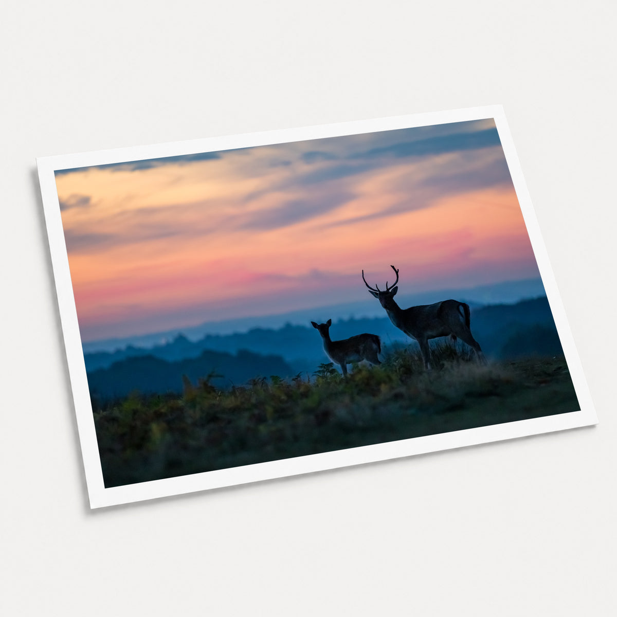 A photographic art print of Antlers, displayed at an angle on a light gray background.