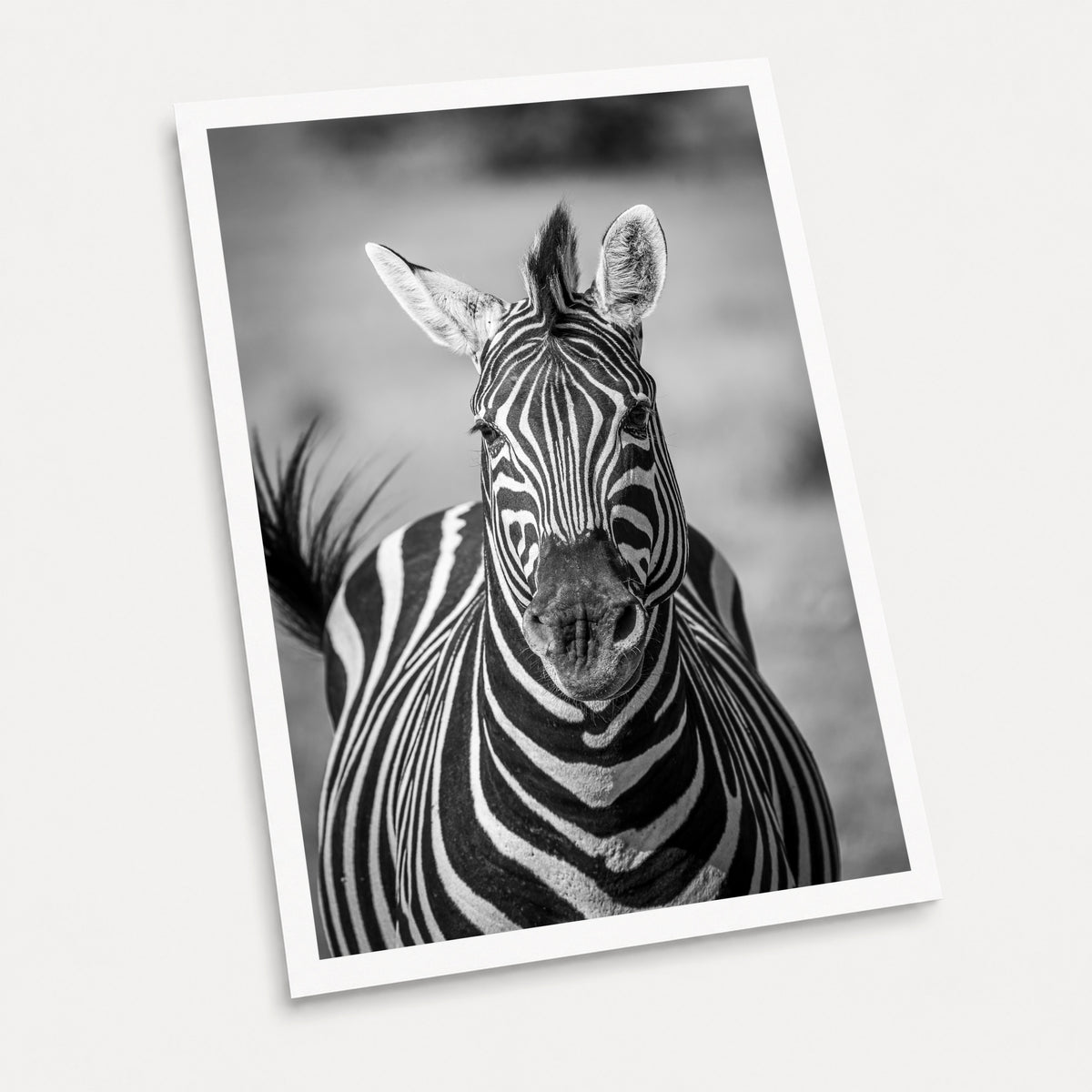 A black and white photographic art print of Black and White, displayed at an angle on a light gray background.
