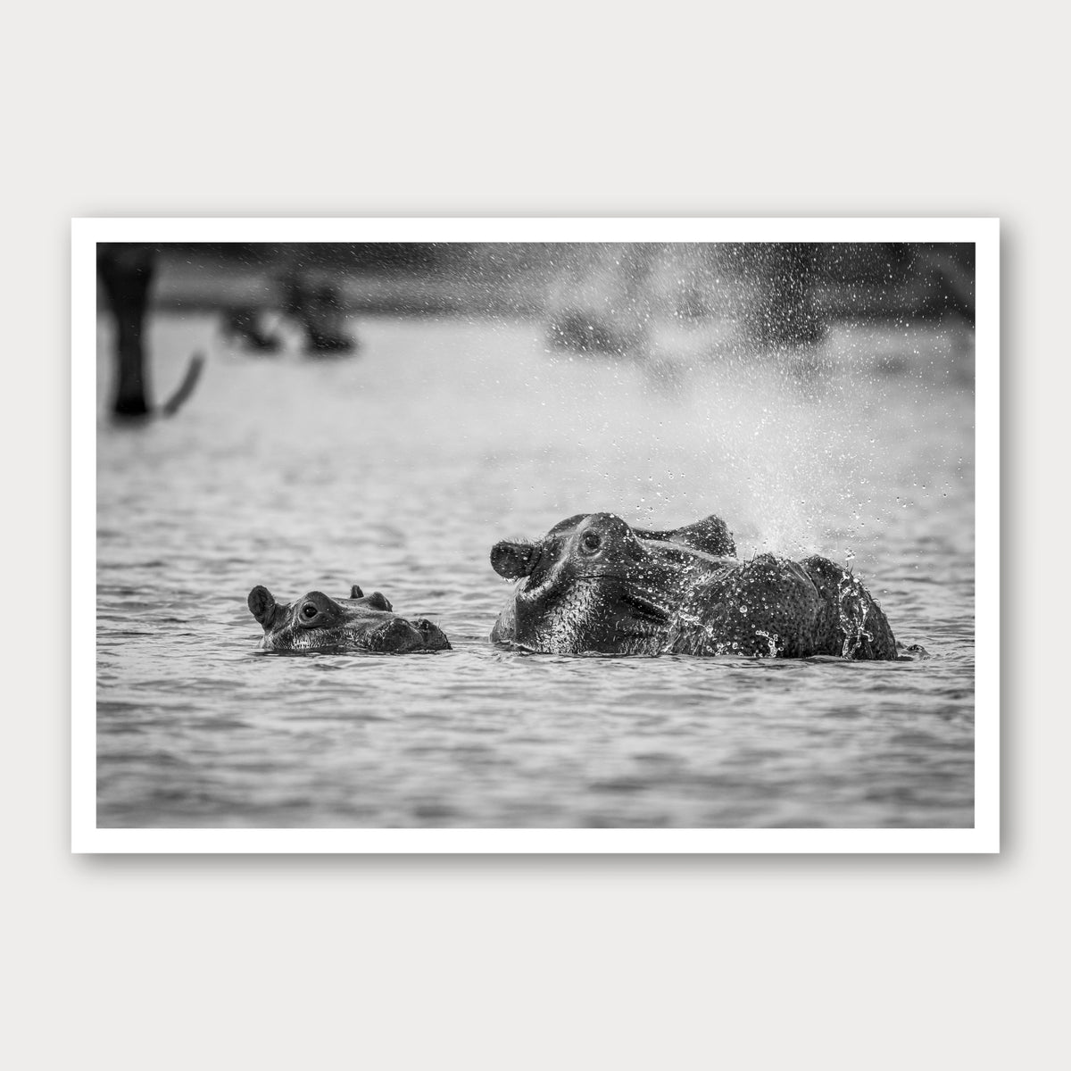 A black and white photographic print of Bless You, framed with a white border and shown against a light gray background.