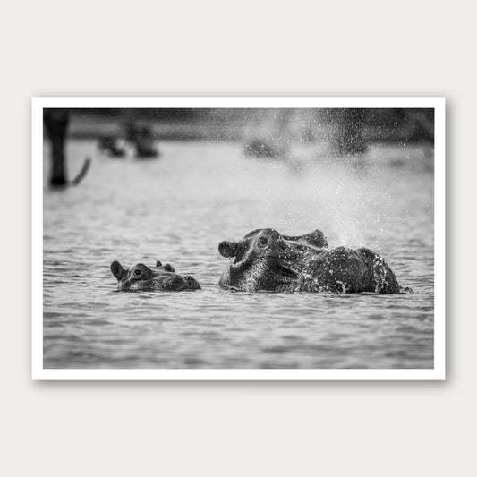 A black and white photographic print of Bless You, framed with a white border and shown against a light gray background.