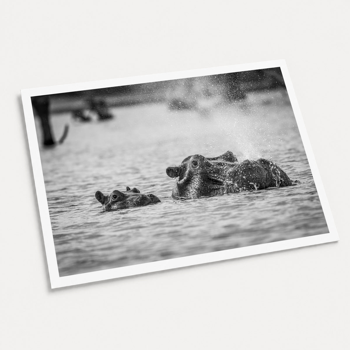 A black and white photographic art print of Bless You, displayed at an angle on a light gray background.
