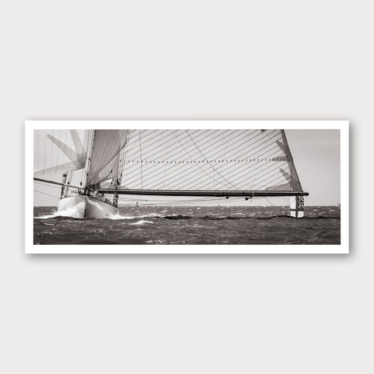 A photographic print of Boom, framed with a white border and shown against a light gray background.