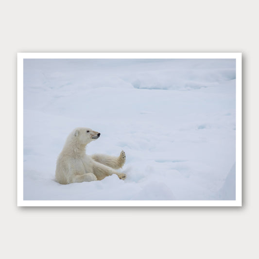A photographic print of Chilling Out, framed with a white border and shown against a light gray background.