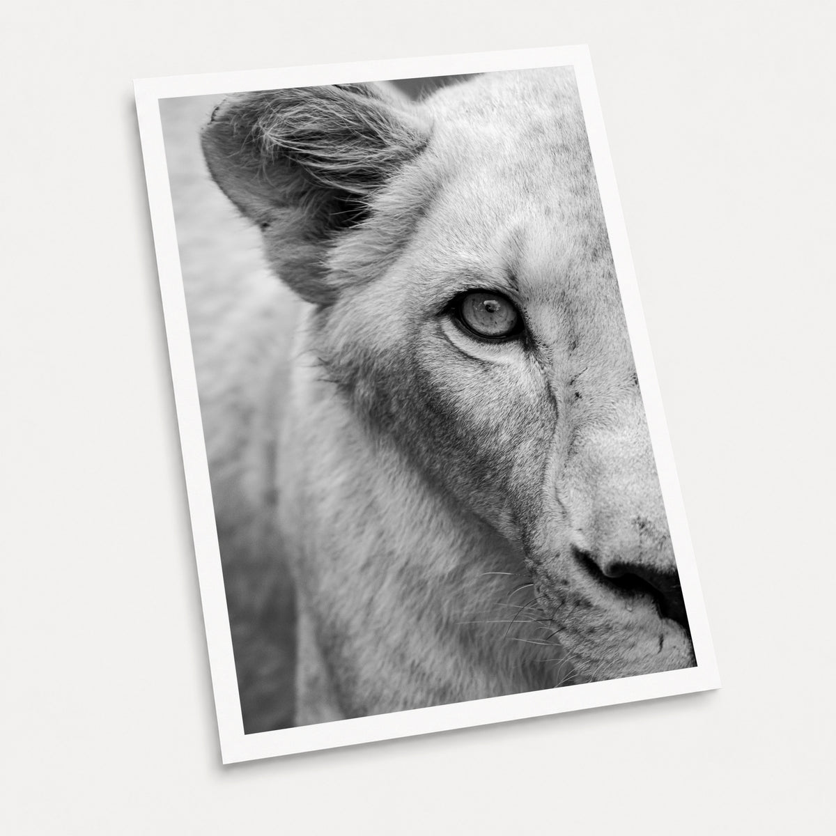 A black and white photographic art print of Eye spy, displayed at an angle on a light gray background.