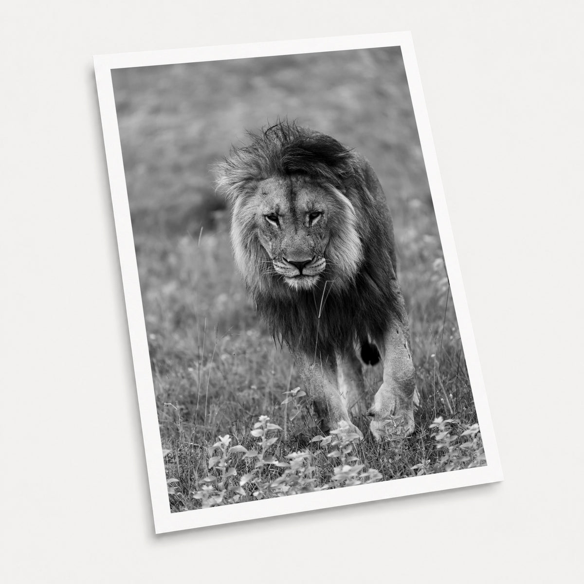 A black and white photographic art print of Face to Face, displayed at an angle on a light gray background.