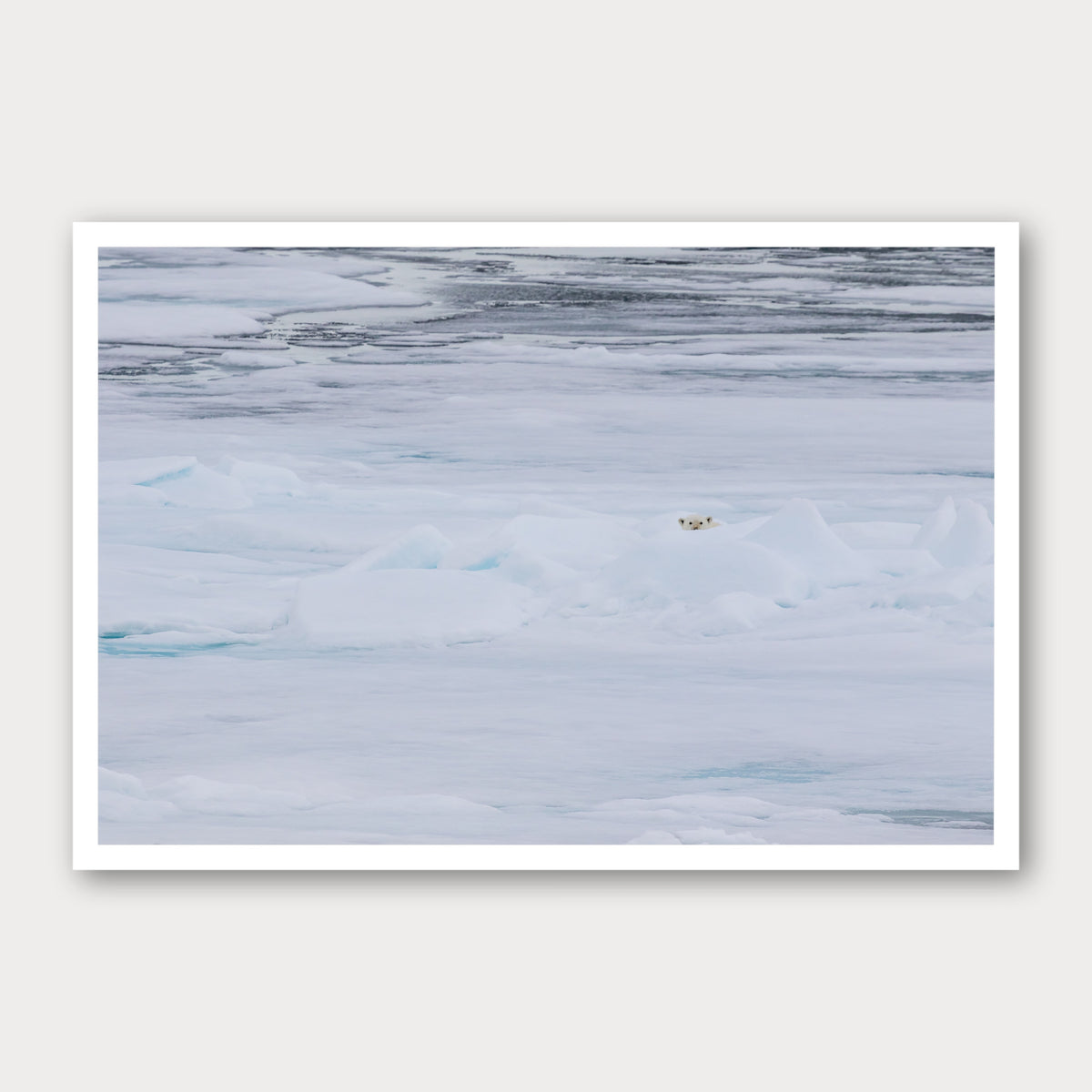 A photographic print of Hide and Seek, framed with a white border and shown against a light gray background.