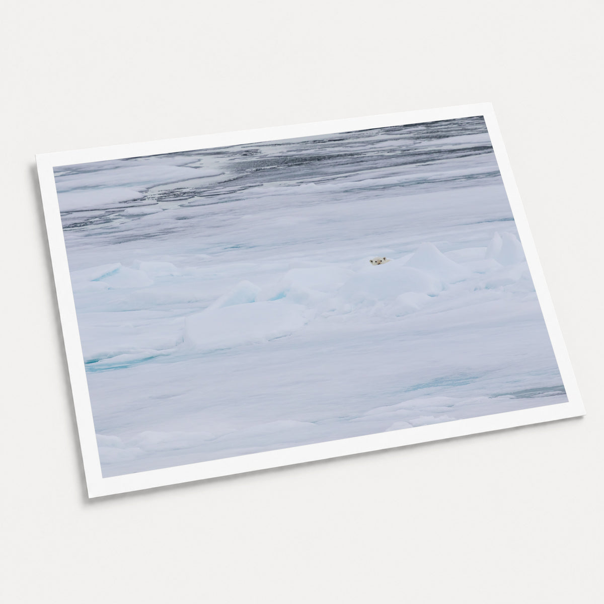 A photographic art print of Hide and Seek, displayed at an angle on a light gray background.