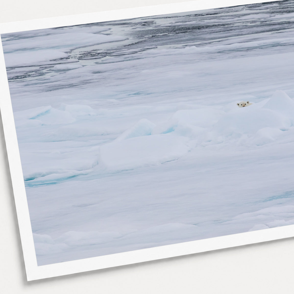 A photographic print of Hide and Seek, shown with a white border and angled presentation on a light background.