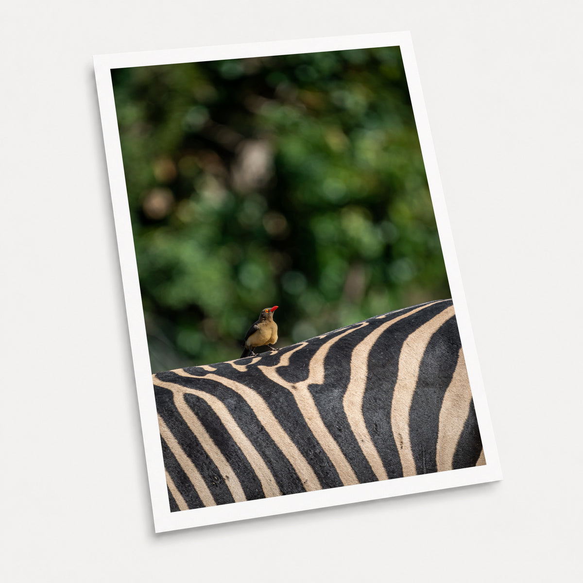 A photographic art print of Hitching a Ride, displayed at an angle on a light gray background.