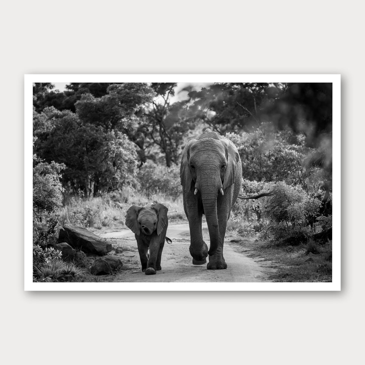 A black and white photographic print of Like Mother, Like Daughter, framed with a white border and shown against a light gray background.