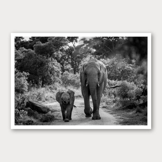 A black and white photographic print of Like Mother, Like Daughter, framed with a white border and shown against a light gray background.