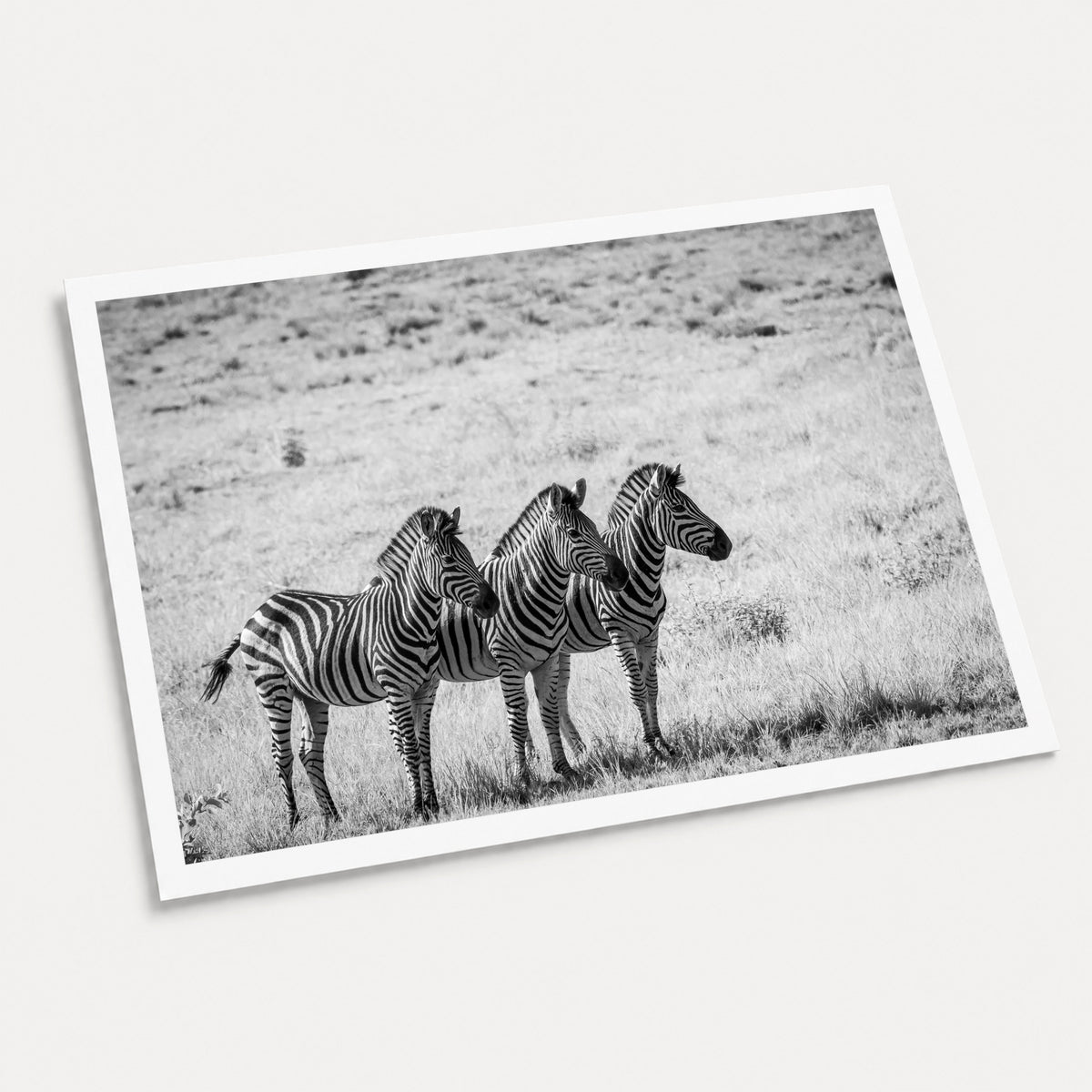 A black and white photographic art print of Line Up, displayed at an angle on a light gray background.