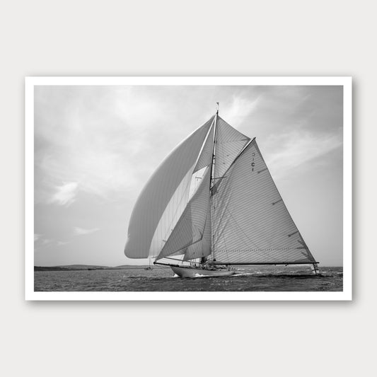 A photographic print of Mariquita of Cowes, framed with a white border and shown against a light gray background.