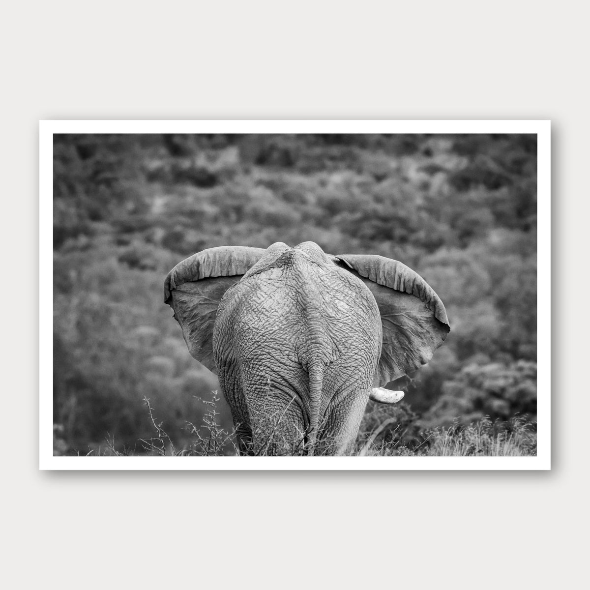 A black and white photographic print of Moving On, framed with a white border and shown against a light gray background.
