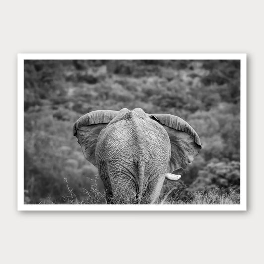 A black and white photographic print of Moving On, framed with a white border and shown against a light gray background.