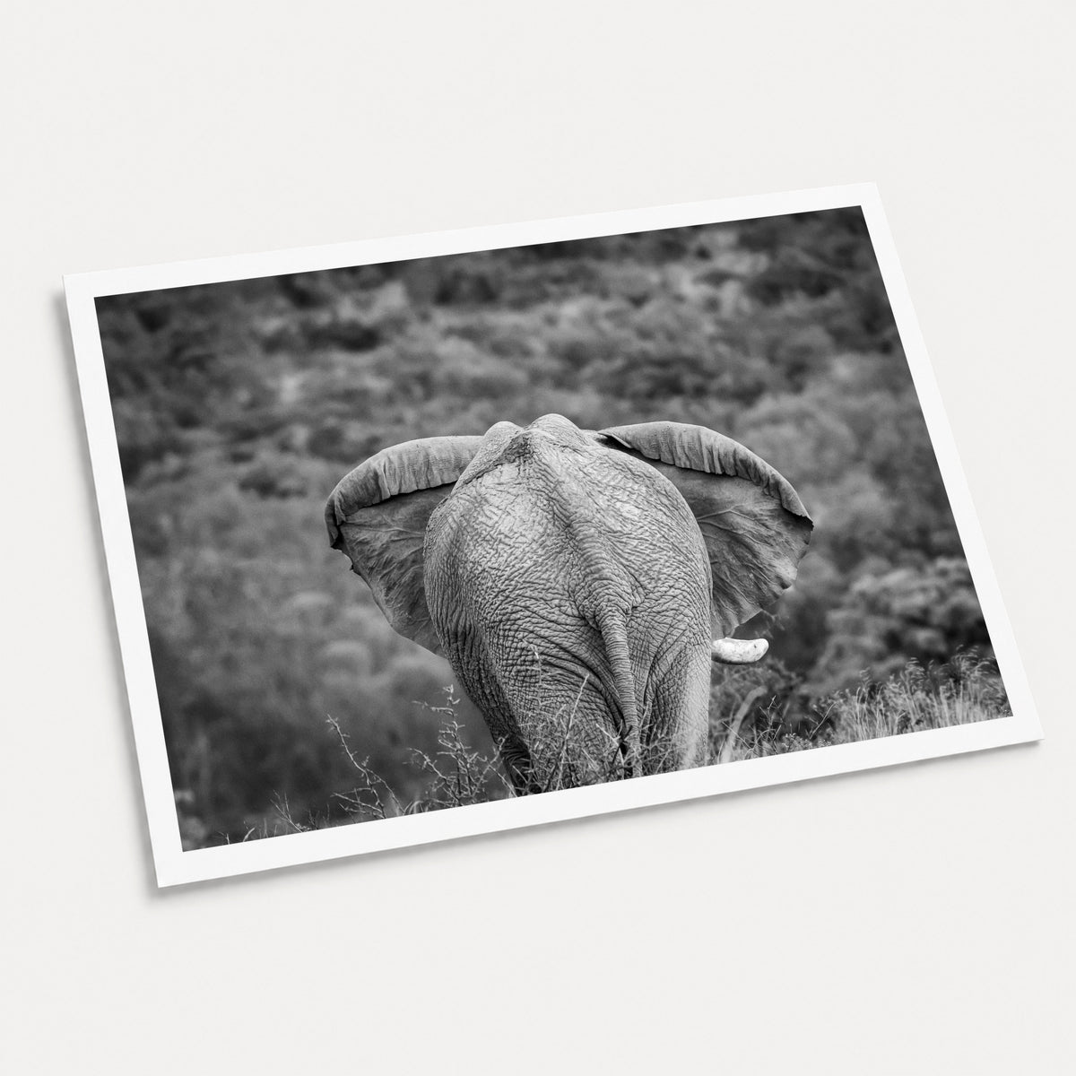 A black and white photographic art print of Moving On, displayed at an angle on a light gray background.