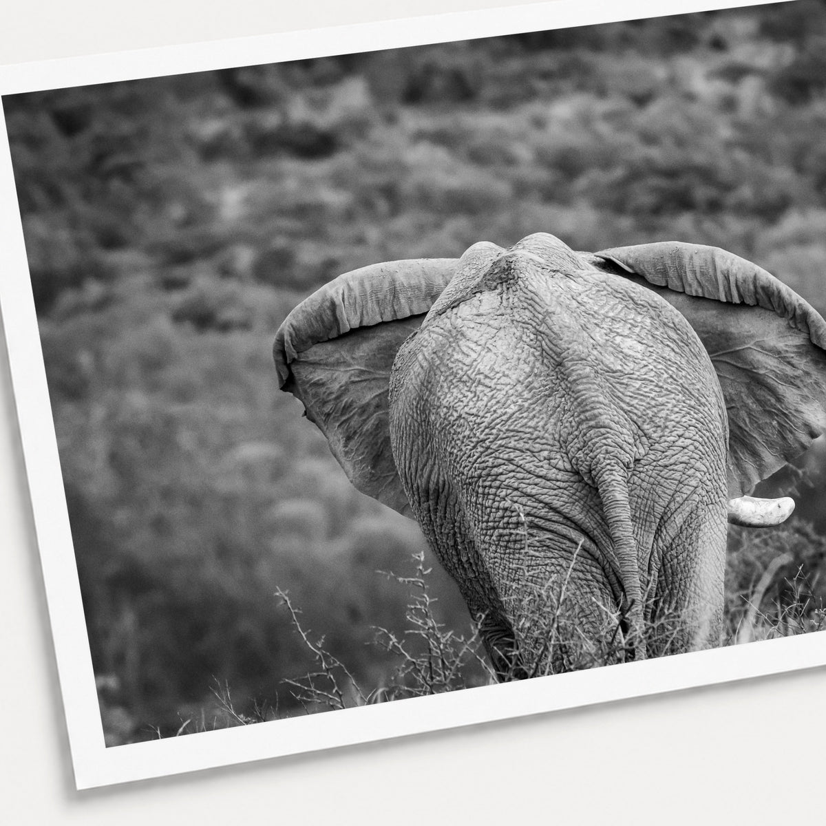 A black and white photographic print of Moving On, shown with a white border and angled presentation on a light background.