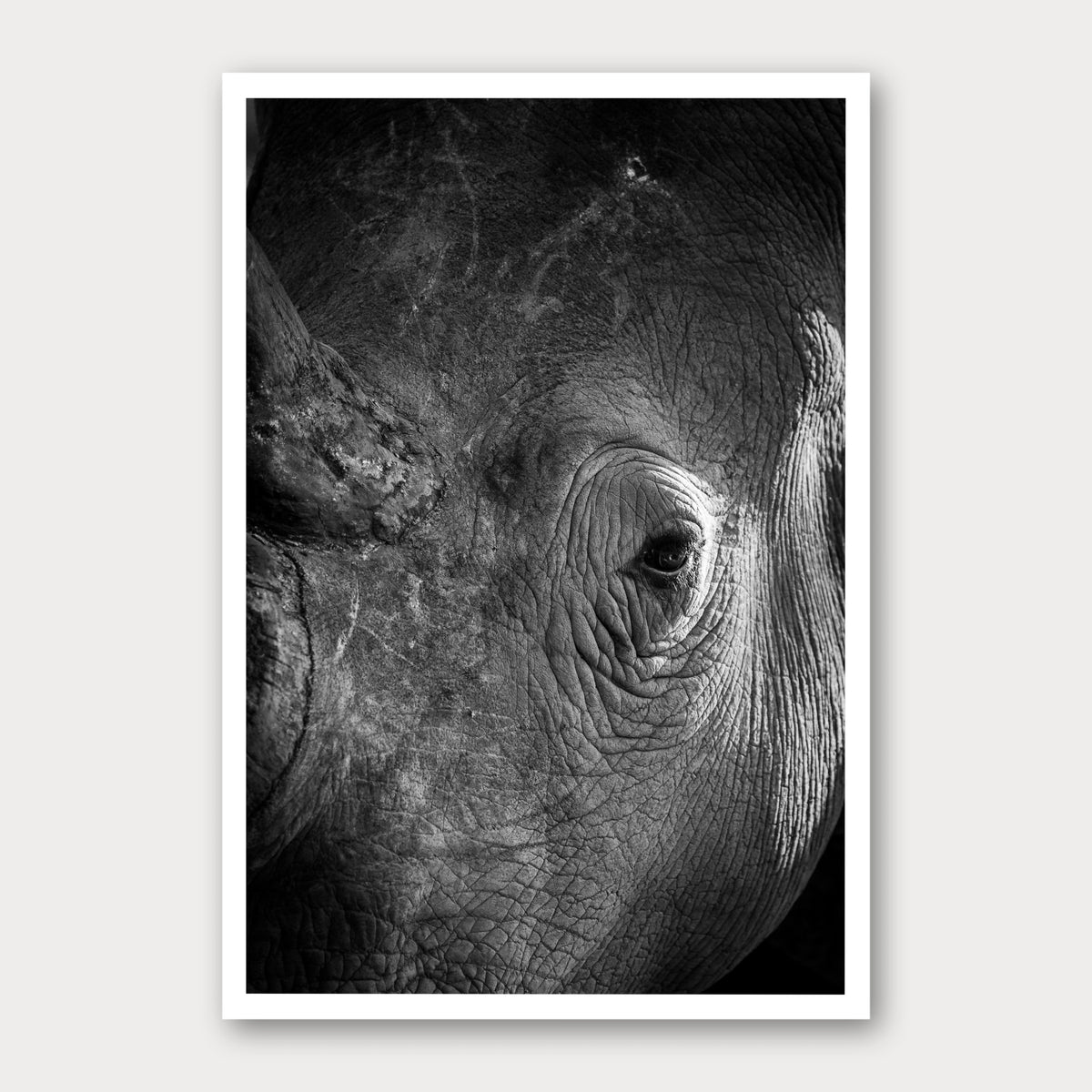 A black and white photographic print of Rhino Portrait, framed with a white border and shown against a light gray background.