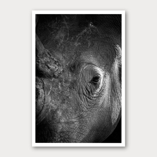 A black and white photographic print of Rhino Portrait, framed with a white border and shown against a light gray background.
