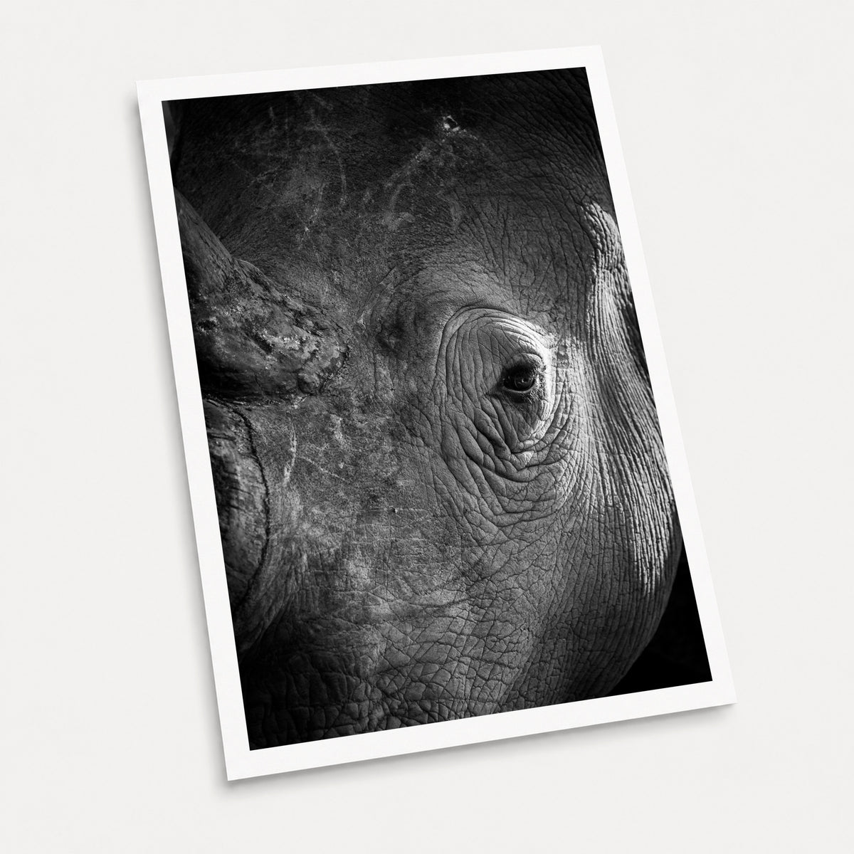 A black and white photographic art print of Rhino Portrait, displayed at an angle on a light gray background.