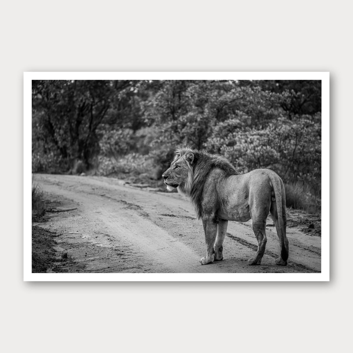 A black and white photographic print of Right of Way, framed with a white border and shown against a light gray background.