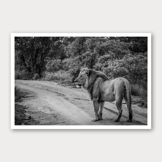 A black and white photographic print of Right of Way, framed with a white border and shown against a light gray background.