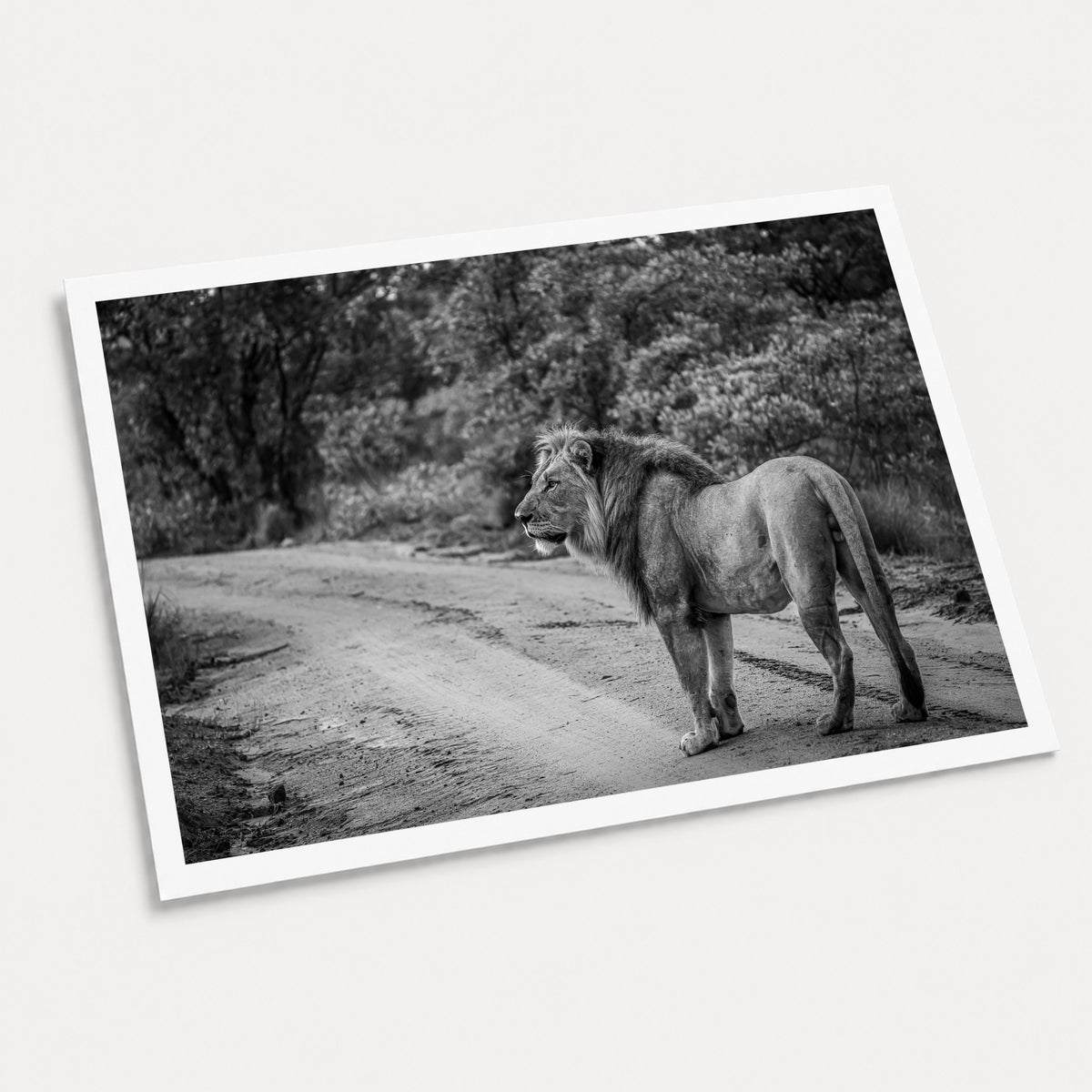 A black and white photographic art print of Right of Way, displayed at an angle on a light gray background.