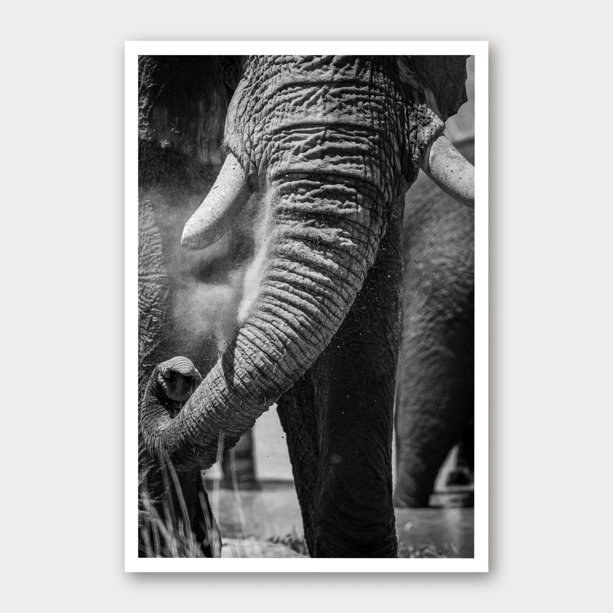 A black and white photographic print of Swing Low, framed with a white border and shown against a light gray background.
