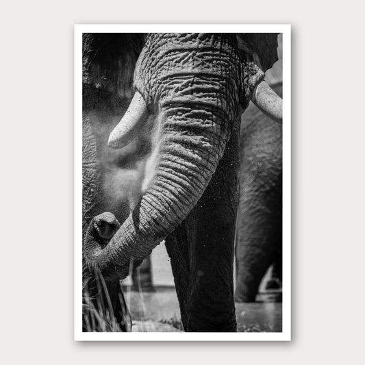 A black and white photographic print of Swing Low, framed with a white border and shown against a light gray background.