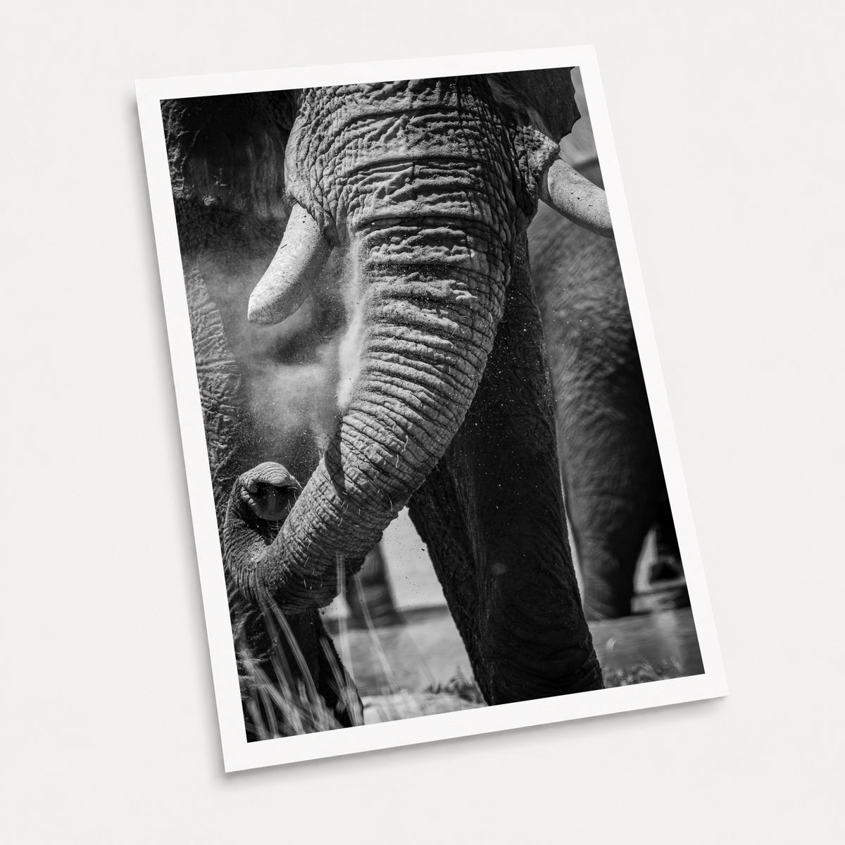 A black and white photographic art print of Swing Low, displayed at an angle on a light gray background.