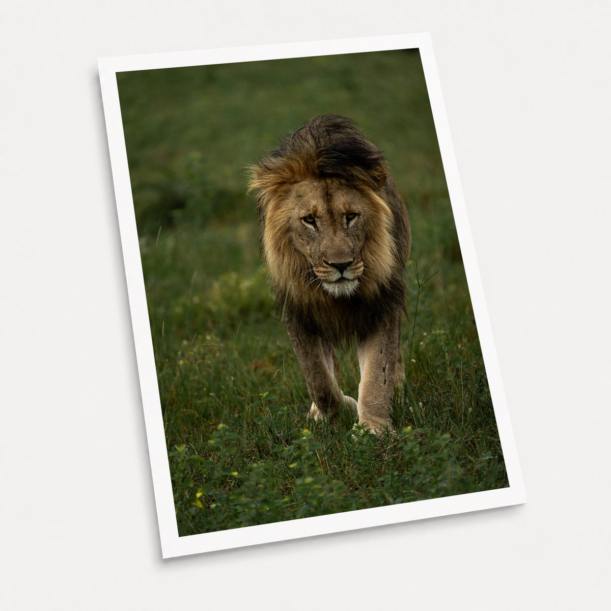 A photographic art print of The Approach, displayed at an angle on a light gray background.