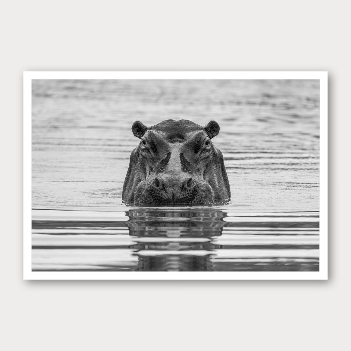 A black and white photographic print of The Watcher, framed with a white border and shown against a light gray background.