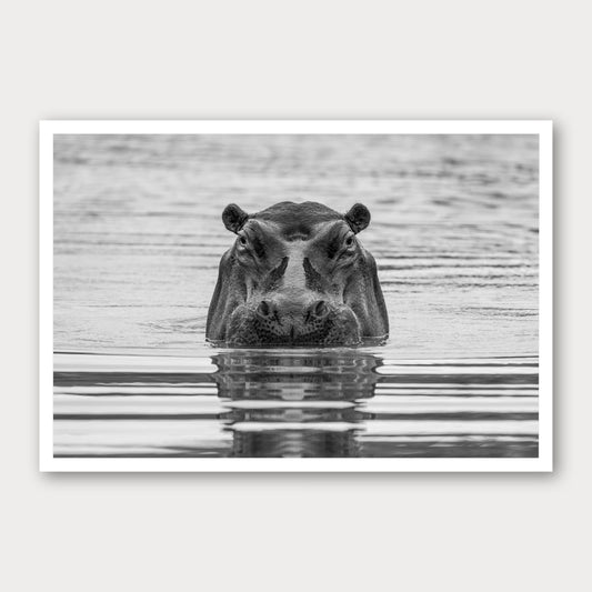 A black and white photographic print of The Watcher, framed with a white border and shown against a light gray background.