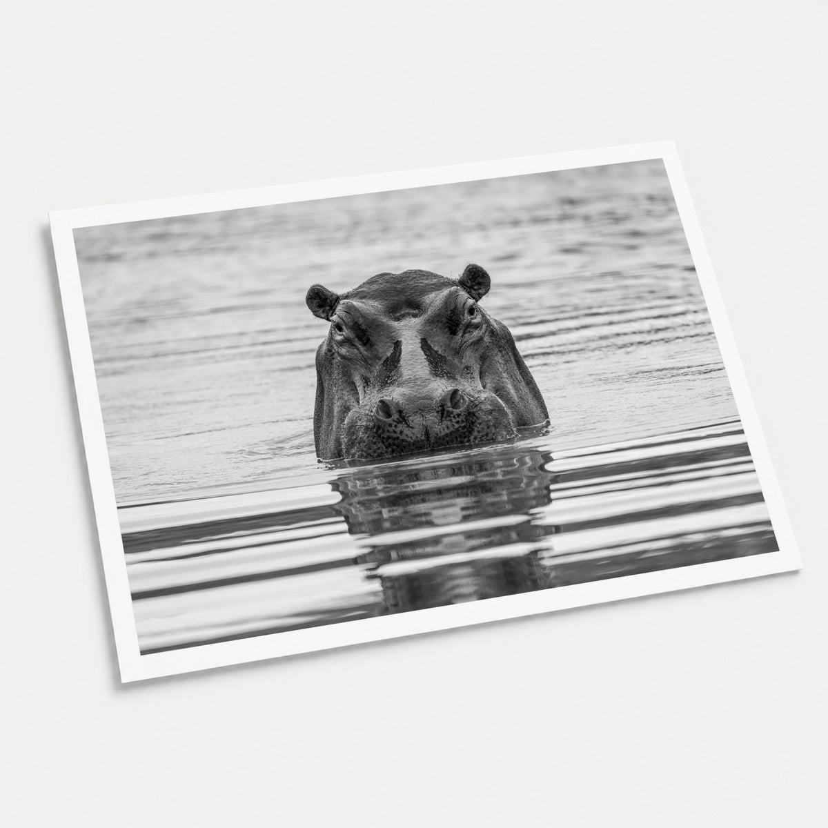 A black and white photographic art print of The Watcher, displayed at an angle on a light gray background.